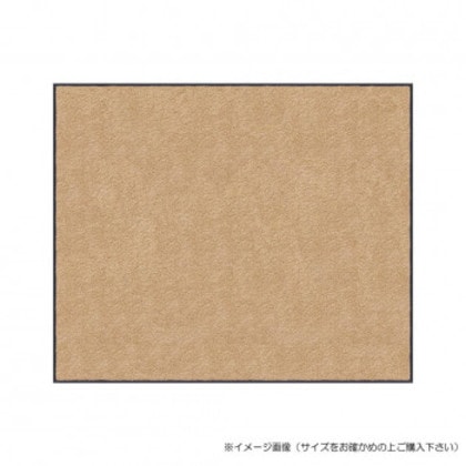 (クリーンテックス) スタンダードマットS シャンペーン 90×180 cm