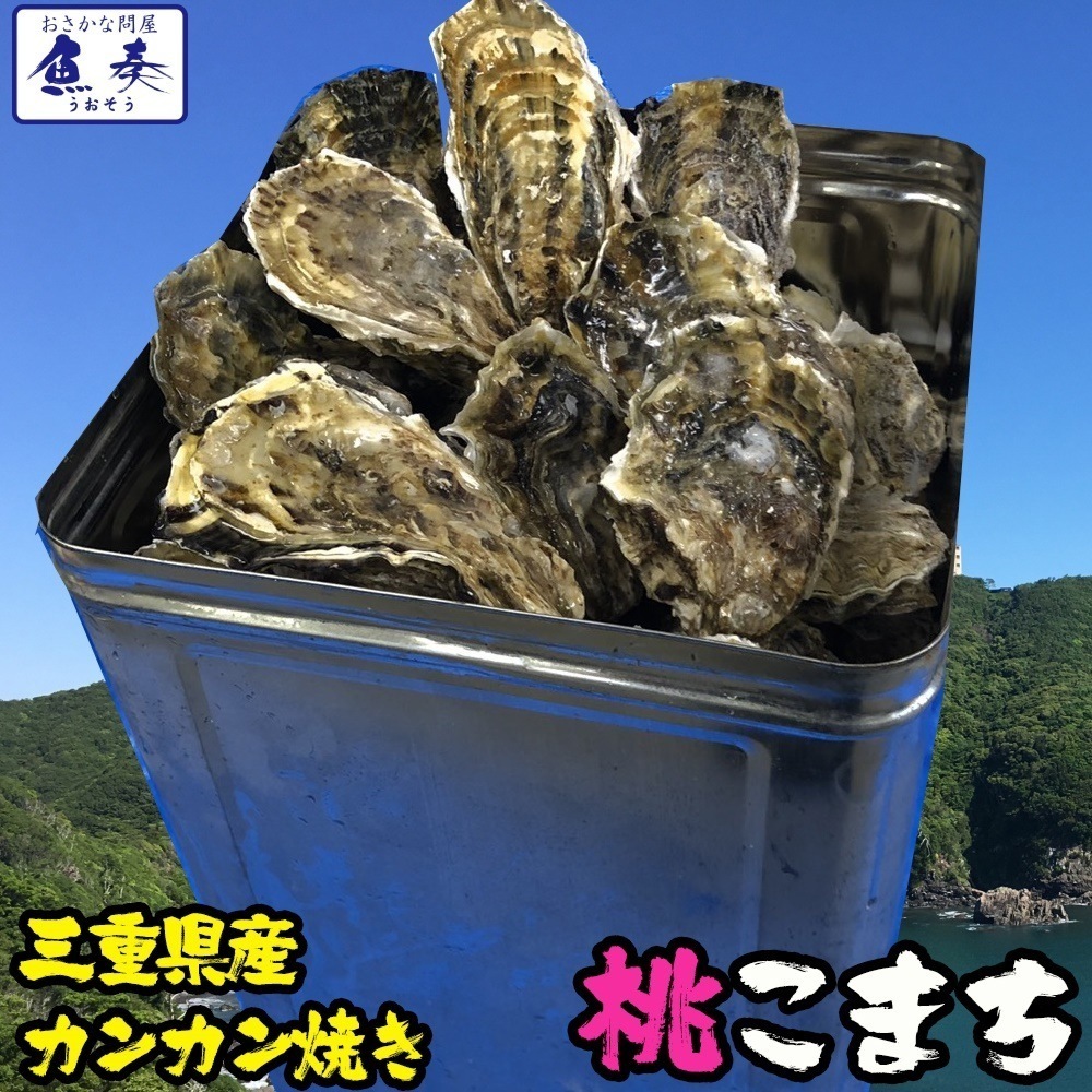伊勢神宮奉納 殻つき牡蠣 カキ 桃こまち 伊勢湾産 3キロ(約30個) 訳あり カン カン焼き BBQ 牡蠣 ナイフ 軍手付