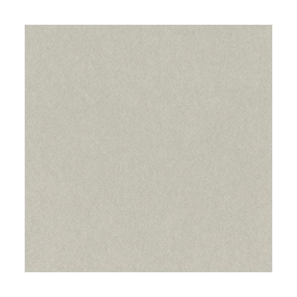 リンテック ニューカラーR 四つ切 あかるいはいいろ 4NCR-113 100枚