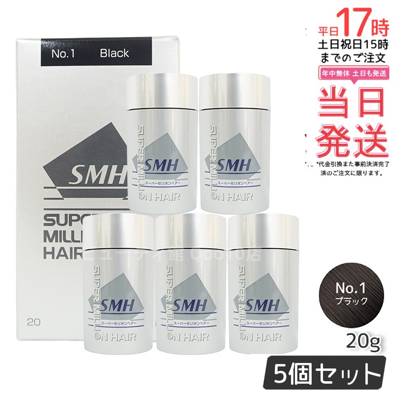 【5個セット】ルアン スーパーミリオンヘアー 20g No.1 ブラック 髪 頭 薄毛隠し 薄毛 分け目 つむじ ボリューム 男性 女性 白髪かくし
