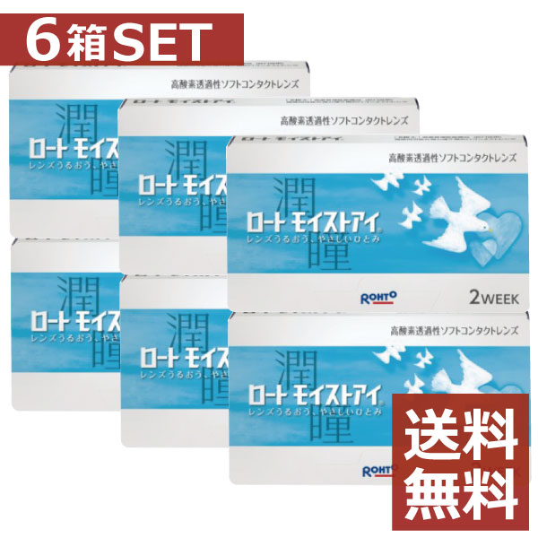ロート モイストアイ 6箱 2ウィーク 2WEEK シリコン バイオフィニティ 近視用
