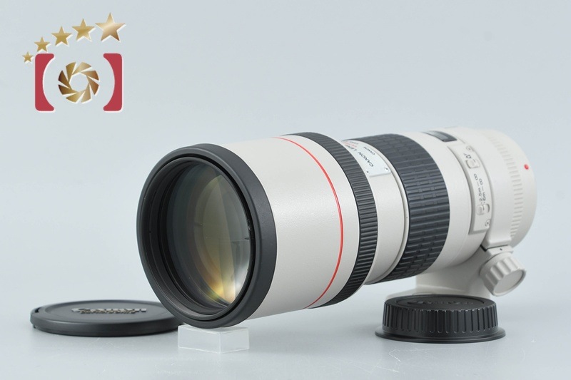 EF 300mm f/4 L USM