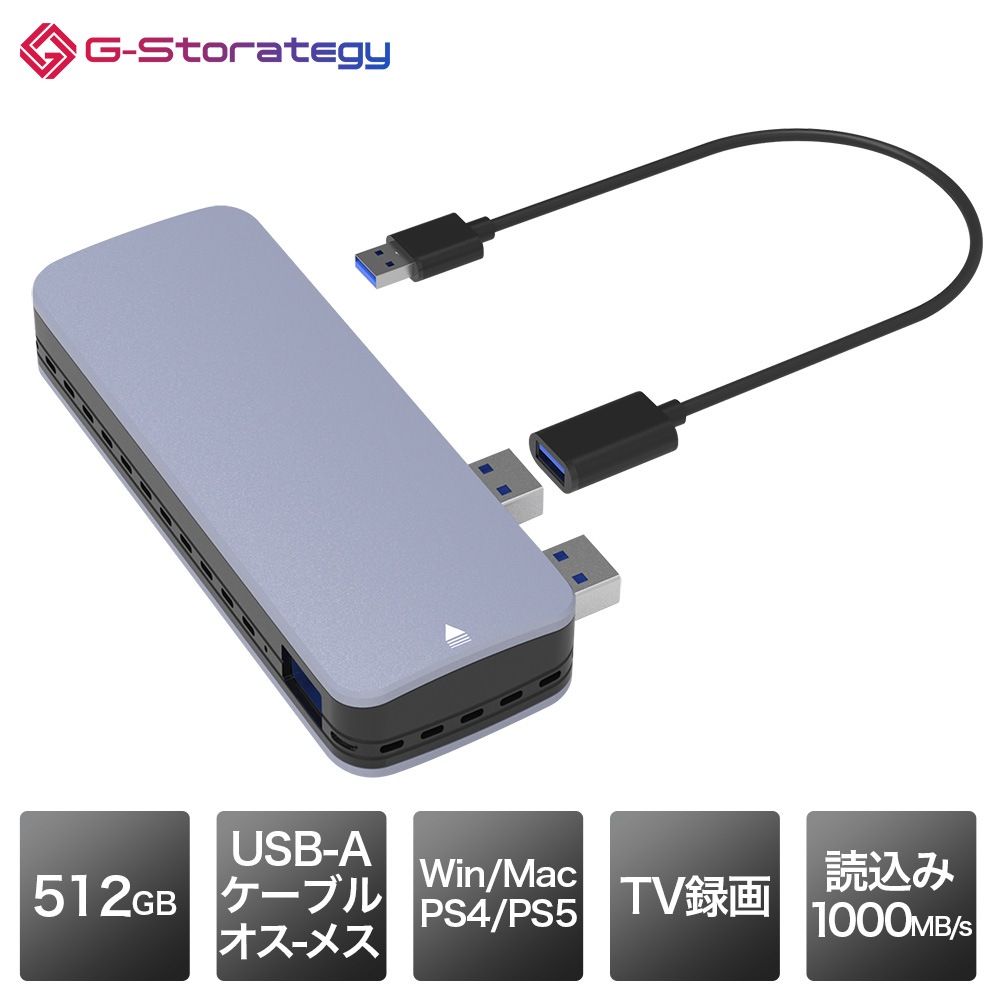 G-Storategy SSD 外付け 500GB 小型 ポータブル PS5 PS4対応(動作確認済) コンパクト 軽量 USB3.2 Gen2 USB TypeA FFF NV33550EX-GY