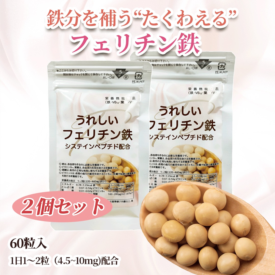 【２袋セット】　鉄分 葉酸サプリメント 「うれしいフェリチン鉄 60粒×2袋」