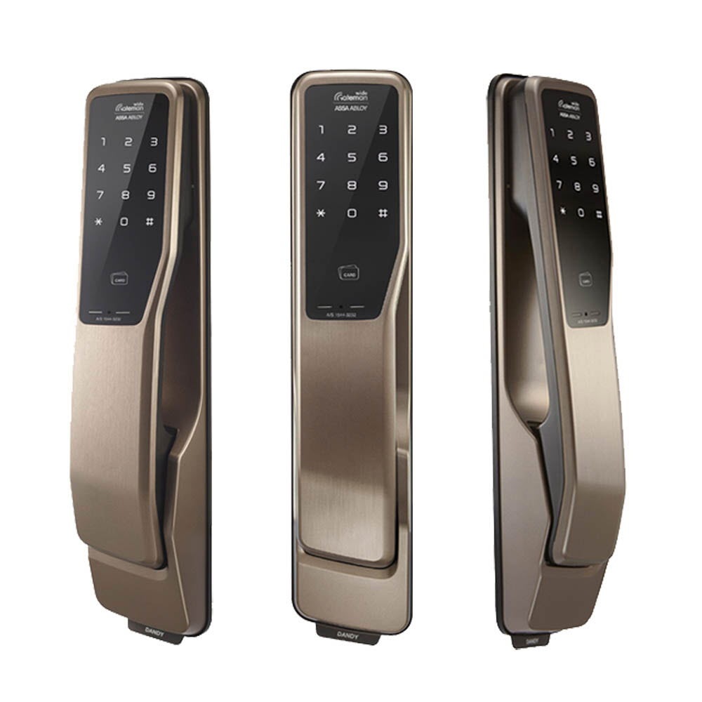 Gateman Dandy Push Pull Door Lock 韓国2ウェイ認証取得