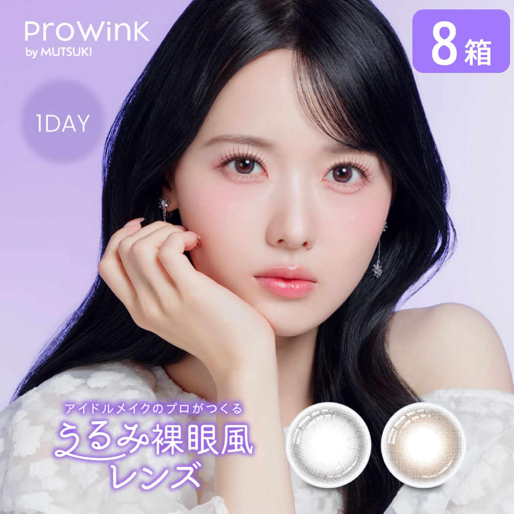 プロウィンク prowink 8箱セット (1箱10枚入り) PIA カラコン ワンデー 裸眼風