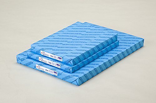 （まとめ買い）ゴークラ 雪だるま画学紙 4切 #125 100枚 Y-1254 00405841 [x3]
