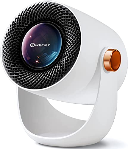 【2024年最高傑作＆節電対策 】 DesertWest セラミックヒーター 小型 電気ストーブ 省