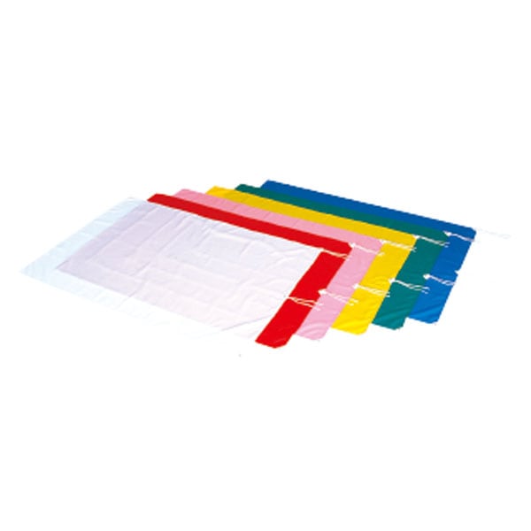 エバニュー Evernew 大旗P 学校器具 アクセサリー EKA647-500