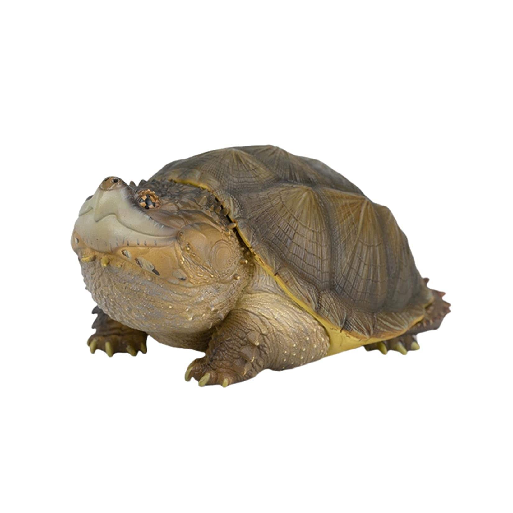 動物惑星 カメ 亀 ガチャガチャ 8CM級 ワニガメ アンゴロカゾウガメ 陸亀 爬虫類 フィギュア 全8種 樹脂 可愛い おもちゃ プラモデル 動物 好き 模型 (アカアシガメ)