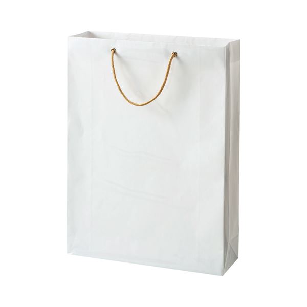 (まとめ) TANOSEE ビニールカバー付手提げ袋 L ヨコ380×タテ510×マチ幅120mm 白無地 1パック（10枚） (×5セット)