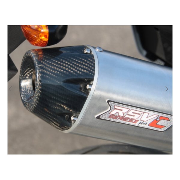 RSV S3プラスCサイレンサー TT250R/Raid RSV1202C