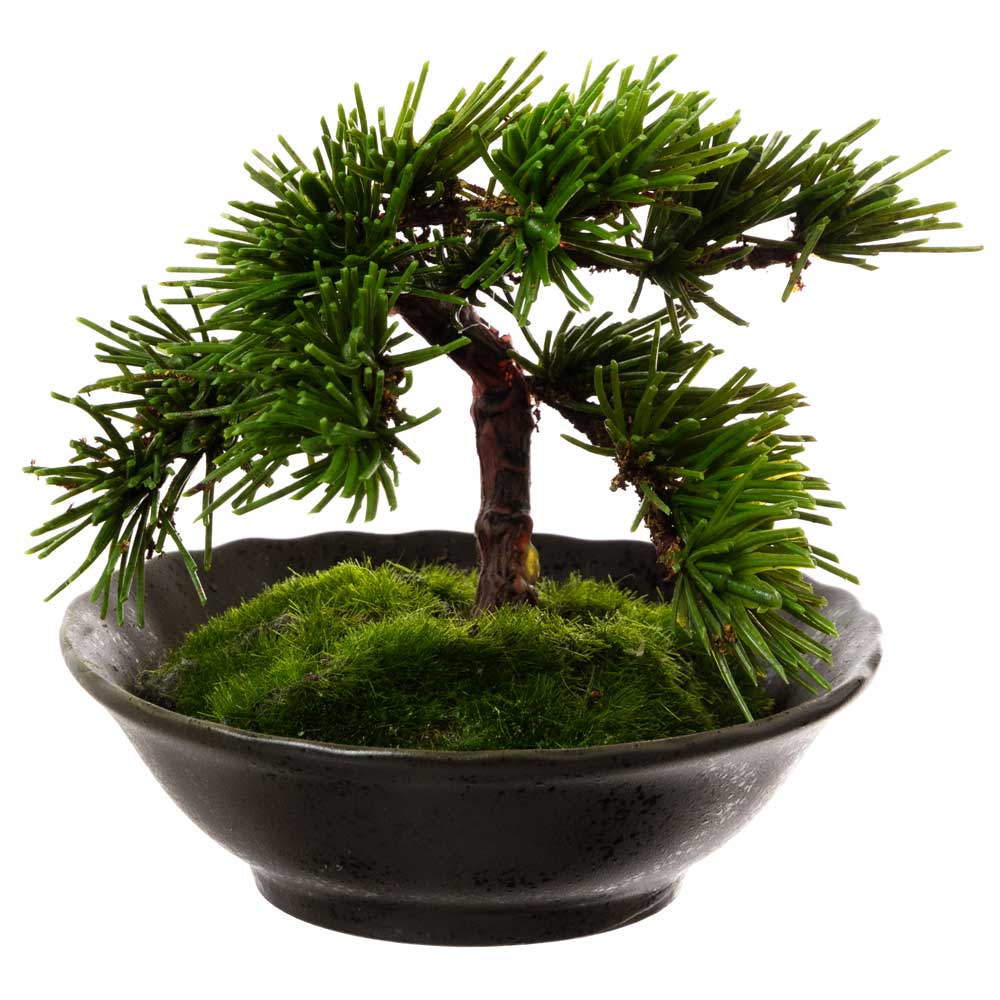 フェイクアート盆栽　然-ZEN-　寸-SUN-ミディアム05　本物を知る庭師職人がリアルな盆栽をイメージして作ったBONSAIモデル　日本的和風インテリア