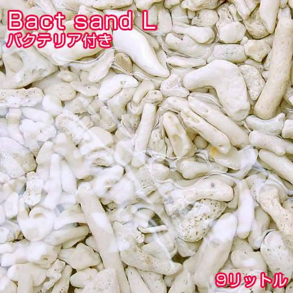 （海水魚）ばくとサンド（立上げ簡単サンド）Ｌ　９リットル　バクテリア付き　ライブサンド　航空便不可　沖縄不可　ＣＲＣ26―65―10―10―50
