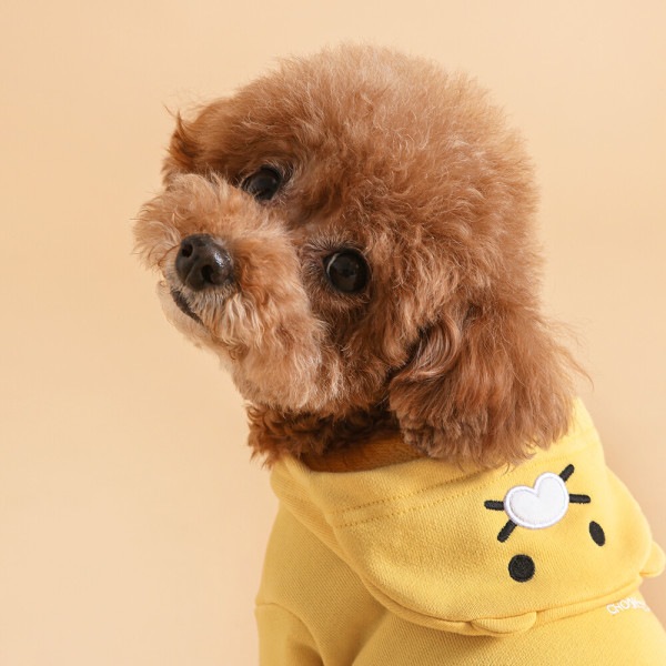 カカオフレンズ チュンシク ペット フード Tシャツ