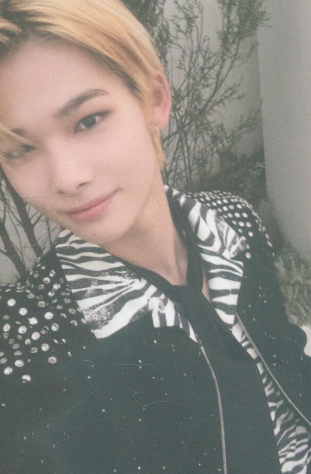 ENHYPEN エナイプン 公式グッズ DIMENSION:閃光 トレーディングカード ニキ（NI-KI/NIKI）