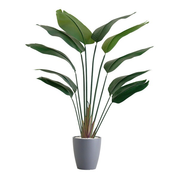 ホームテイスト SH-06-STR-L お手入れ簡単フェイクグリーン ストレリチア Lサイズ(180cm) グレー メーカー直送