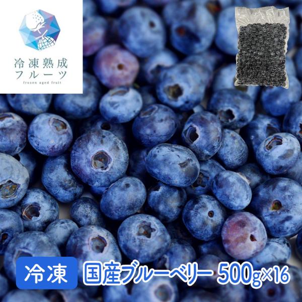 国産ブルーベリー 500g×16パック / 冷凍フルーツ デザート 国産