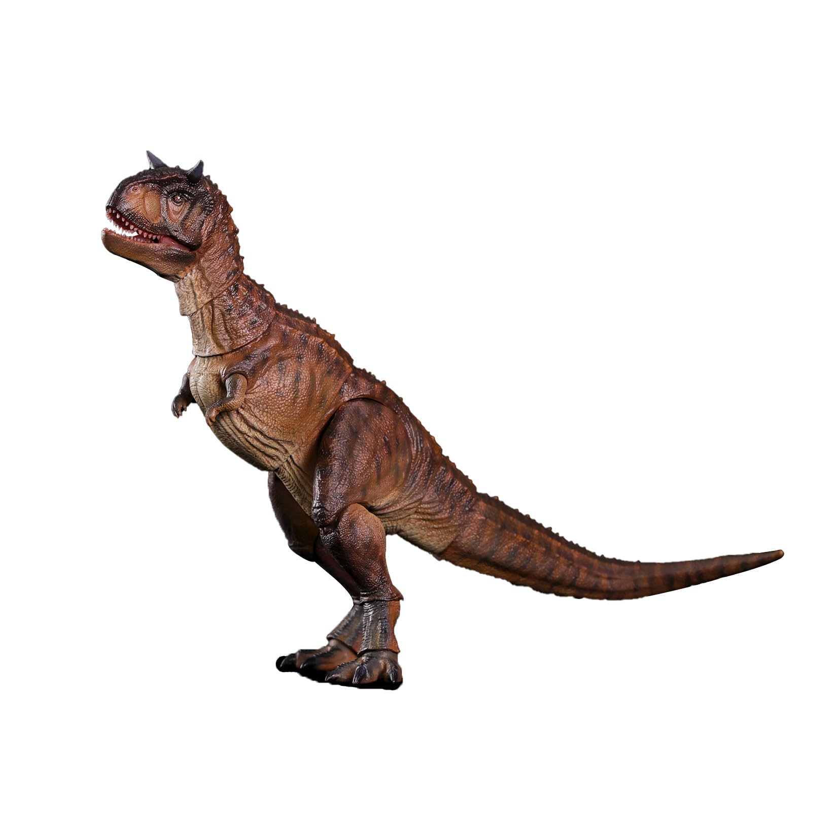 Nanmu 本心楠改 可動シリーズ3.0 カルノタウルス フィギュア 関節可動 可動式 31.5CM級 肉食 恐竜 リアル PVC+POM プラモデル おもちゃ 模型 置物 完成品