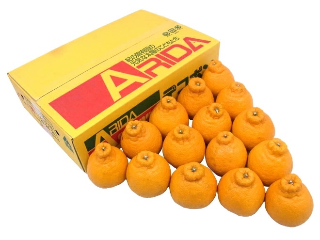 和歌山 有田産 =デコポン= 秀品 超大玉 15玉 約5kg 予約 1月中旬以降 5,466円