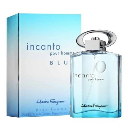 インカント プールオム ブルー オードトワレ EDT SP 100ml[9554] 宅配無料