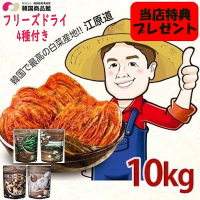 [2026年2月末入庫予定] [当店特典][韓国産] 江原ガンウォンドンガン キムチ 1BOX （5kg x2袋） 白菜キムチ