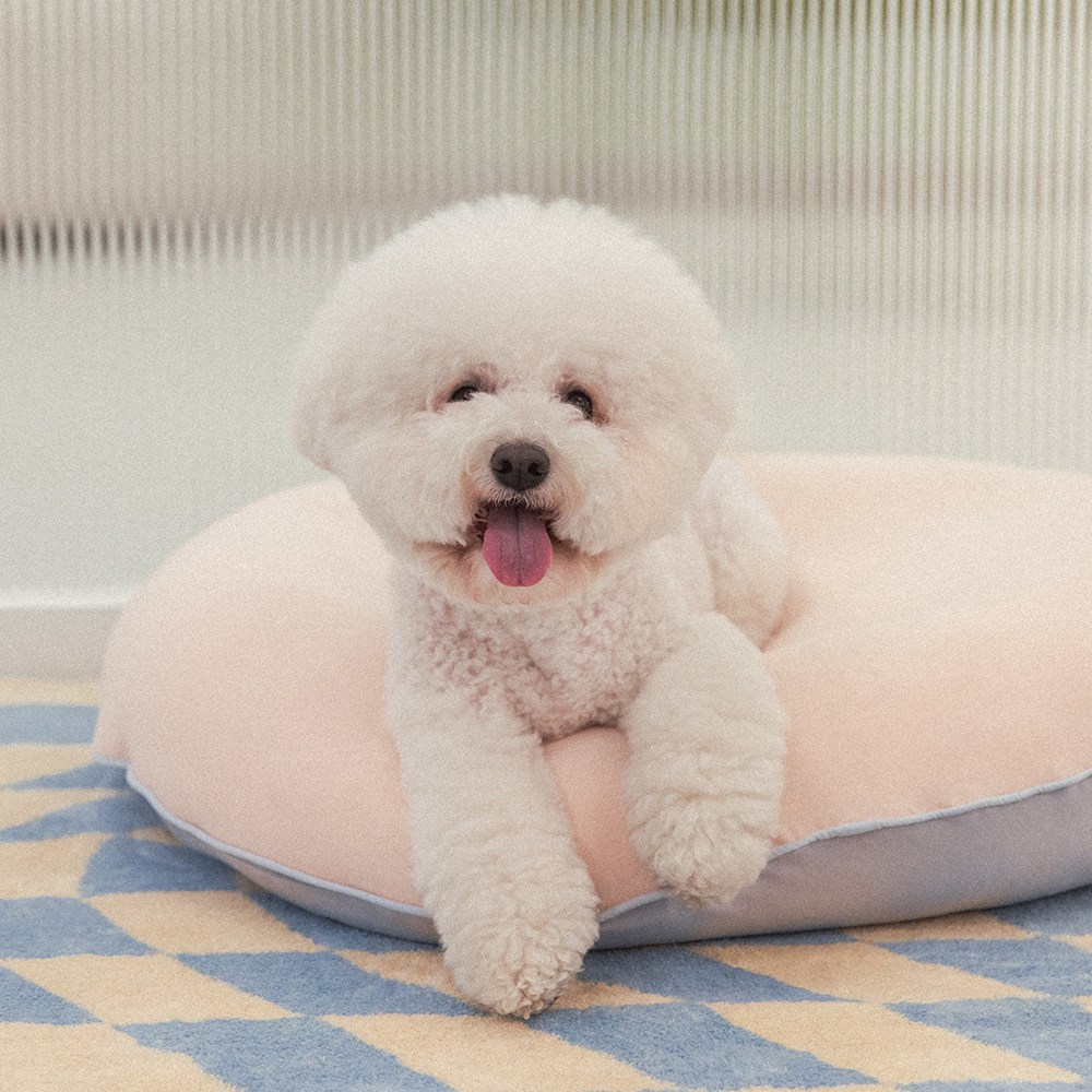 フォーグルペット動物四季子犬クッションハグクッション