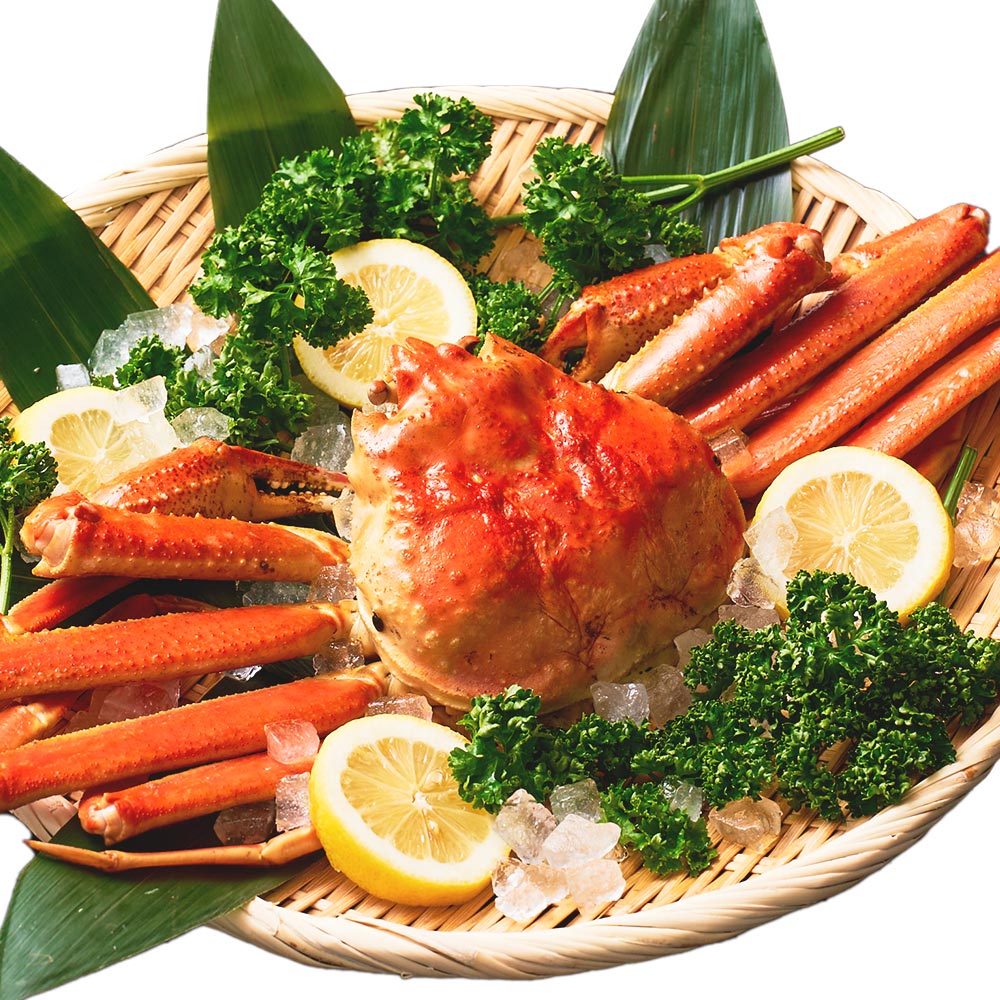 本ズワイガニ 姿 650g 1尾 特大 ズワイ蟹 ずわいがに ずわい蟹 カニ かに