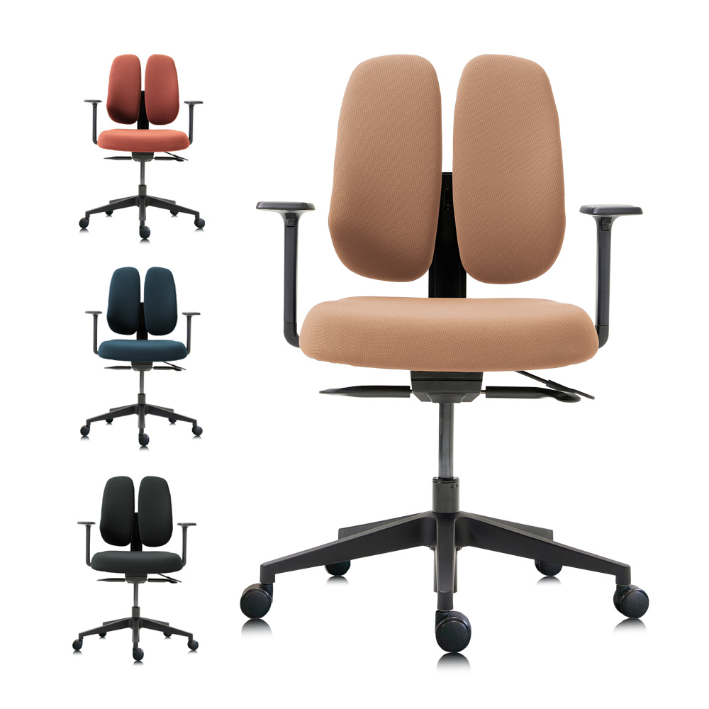 デュオレスト 体圧分散チェア オフィスチェア デスクチェア パソコンチェア おしゃれ 疲れない リクライニング メッシュ 腰痛対策 肘付き 二つの背もたれ 人体工学 DUOREST NEXT2 正規品