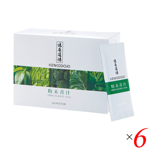 サンスター 健康道場粉末青汁 300g(10g30) 6個セット