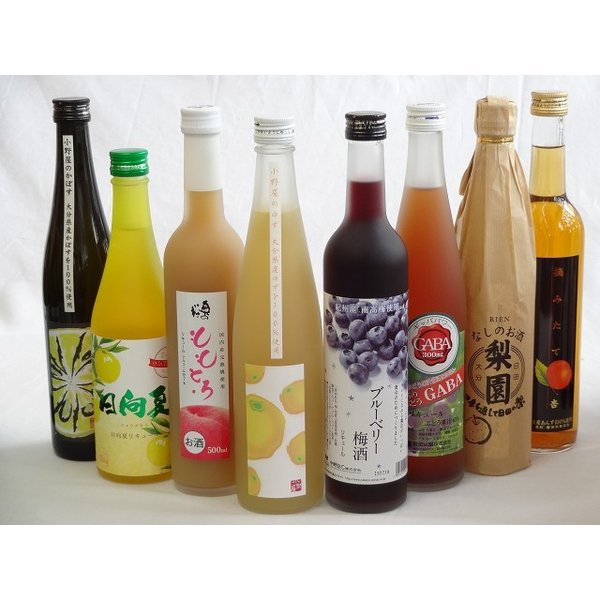 果実リキュール8本セット 紀州産 南高梅使用ブルーベリー梅酒 500ml（和歌山）高千穂酒造 宮崎