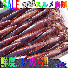 ASK sanin - 日本海最大の漁港、本物のとれたてを、その日のうちに発送！！  仲買店・加工業者のダイレクト販売ですので無駄な流通経費を省き、一般の流通では考えられないくらい超激安・超新鮮！！ 取れたて「日本海の幸」を卸値でどうぞ！！また、漁師直販品、地元の物  ...