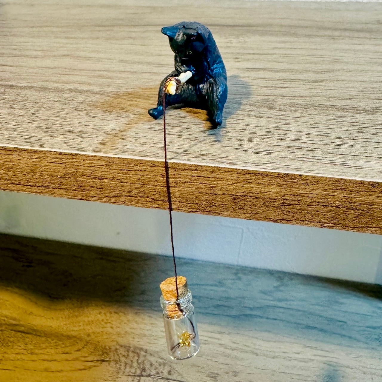 宝石を釣った猫