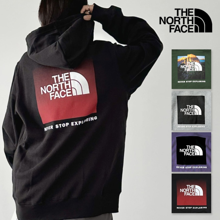 THE NORTH FACE ノースフェイス BOXバックプリント プルオーバー パーカー M BOX NSE PULLOVER HOODIE アウトドア トップス フーディー