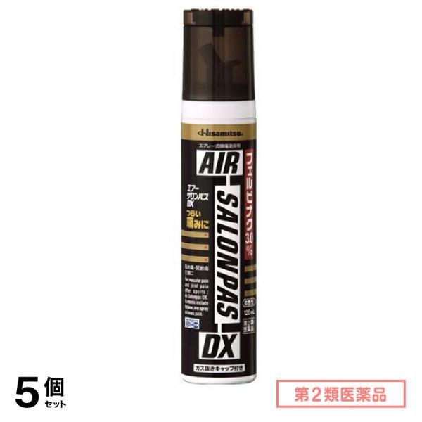 第２類医薬品 エアーサロンパスDX 120mL 5個セット