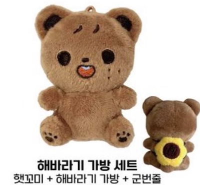 nct dream ヘチャン　ぬいぐるみ　haechan ドリム イリチル nct dream 127 haechan 10cm dreamy dream bear doll plush new