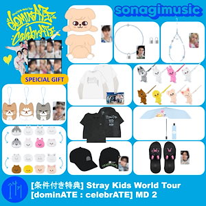 STRAYKIDS POPUP