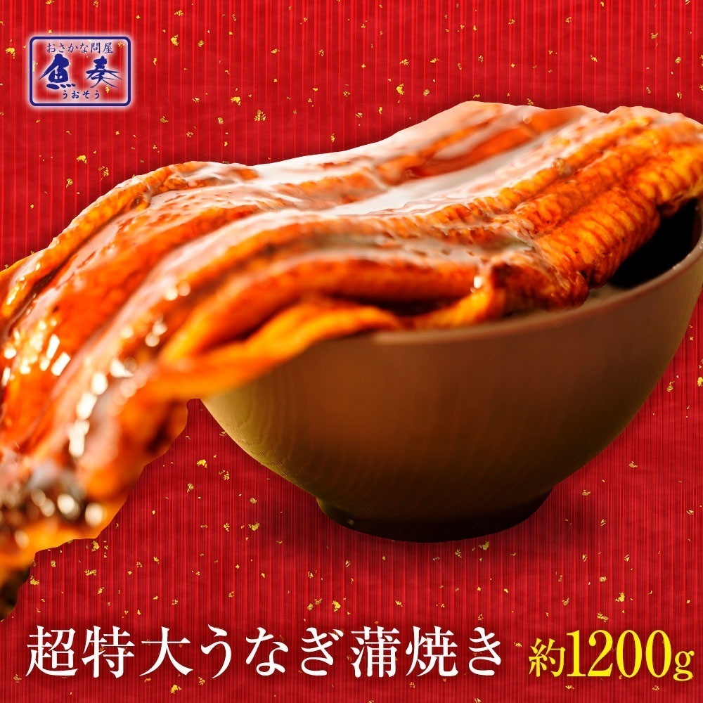 特大 うなぎ蒲焼 ウルトラビッグサイズ380gから400g 3本 約1200g前後 鰻