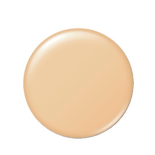 【国内正規品】アルビオ ン（ALBION）スタジオ　タフウェア　ソリッド　010 ベージュファンデーションレフィル　SPF50+ PA++++　9.5g【メール便発送可】 5,225円