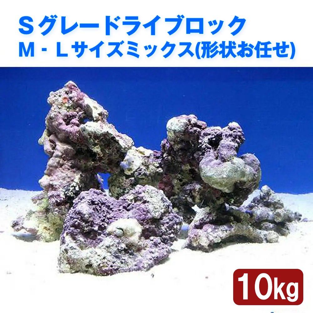 （海水魚）Ｓグレードライブロック　Ｍ－Ｌサイズミックス（１０ｋｇ）（形状お任せ）　北海道・九州航空便要保温　ＣＲＣ26―55―20―20―00