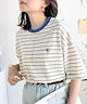 ブルーボーダー