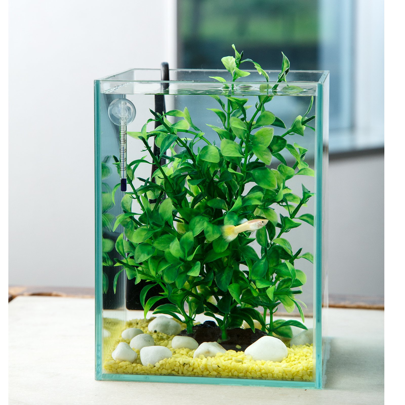 （熱帯魚）飼育セット　グッピーセット　ｇｕｙー雷ー　フィルター無　水温計＆デコシールのおまけ付　本州四国限定　ＣＲＣ10―11―03―10―99