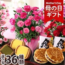 母の日 2025 プレゼント 花 ギフト 花とスイーツ セット 鉢植え カーネーション ピンク レッド お菓子 イベントギフトG