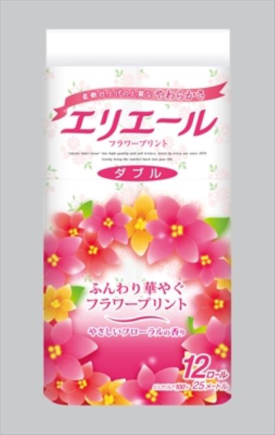 �G���G�[�� �g�C���b�g�e�B�V���[ �_�u�� �t�����[�v�����g 12���[������