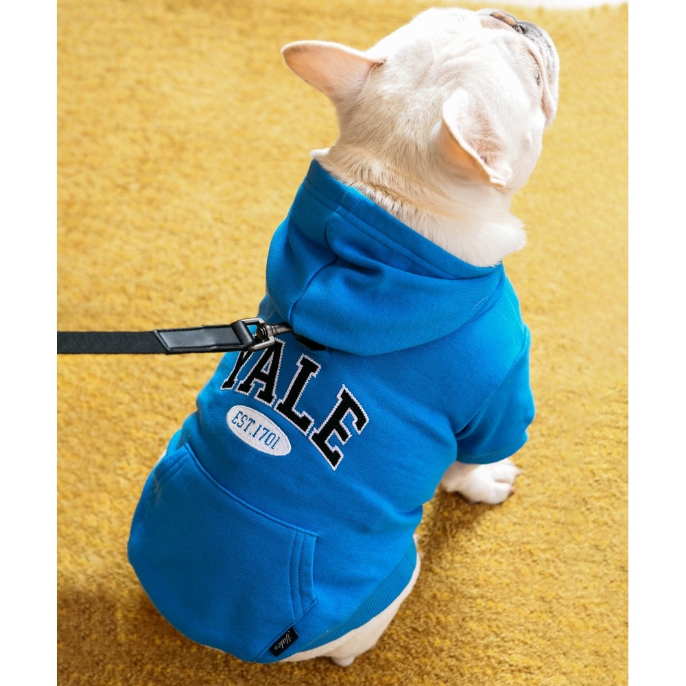 エールツートーンアーチドギーパーカーストロングブルー