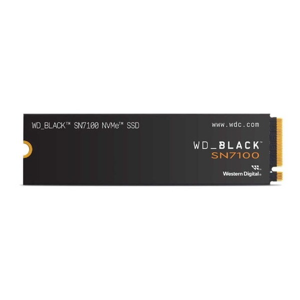 WDS100T4X0E 内蔵SSD (M.2 Type2280 1TB)