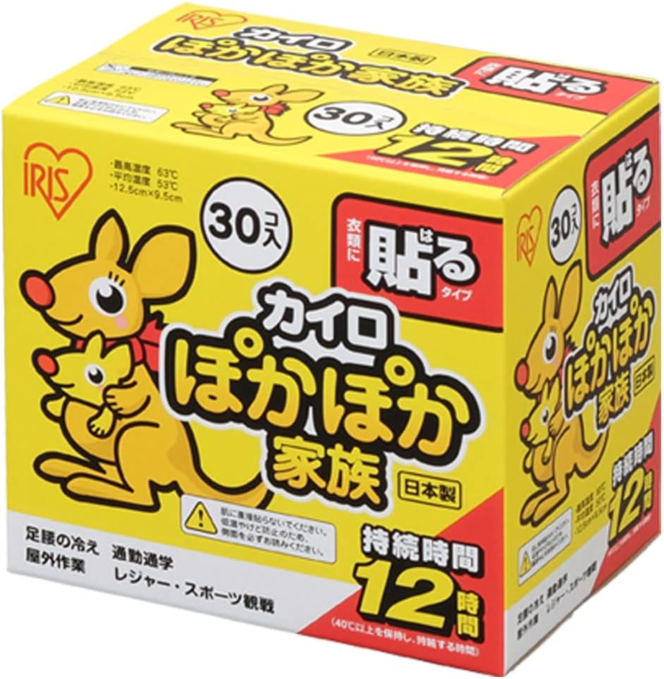 アイリスオーヤマ(IRIS OHYAMA) 使い捨てカイロ ぽかぽか家族 貼る レギュラー 480枚(30枚×16セット) PKN-30HR