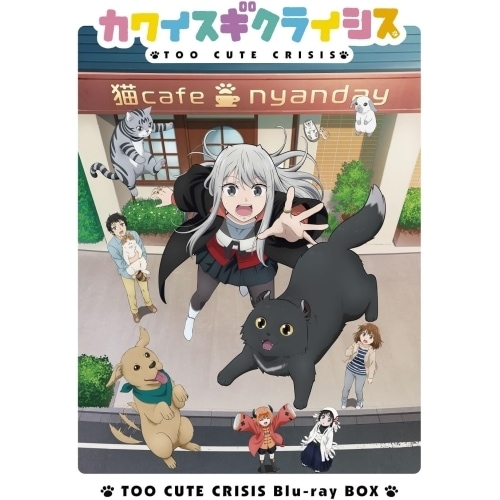 『カワイスギクライシス』Blu-ray BOX(Blu-ray Disc) (Blu-ray) PCXG-50815