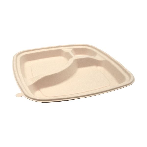 パックスタイル BB竹バガス弁当 N23-23B ラミ 227x227x高さ25mm （50枚）