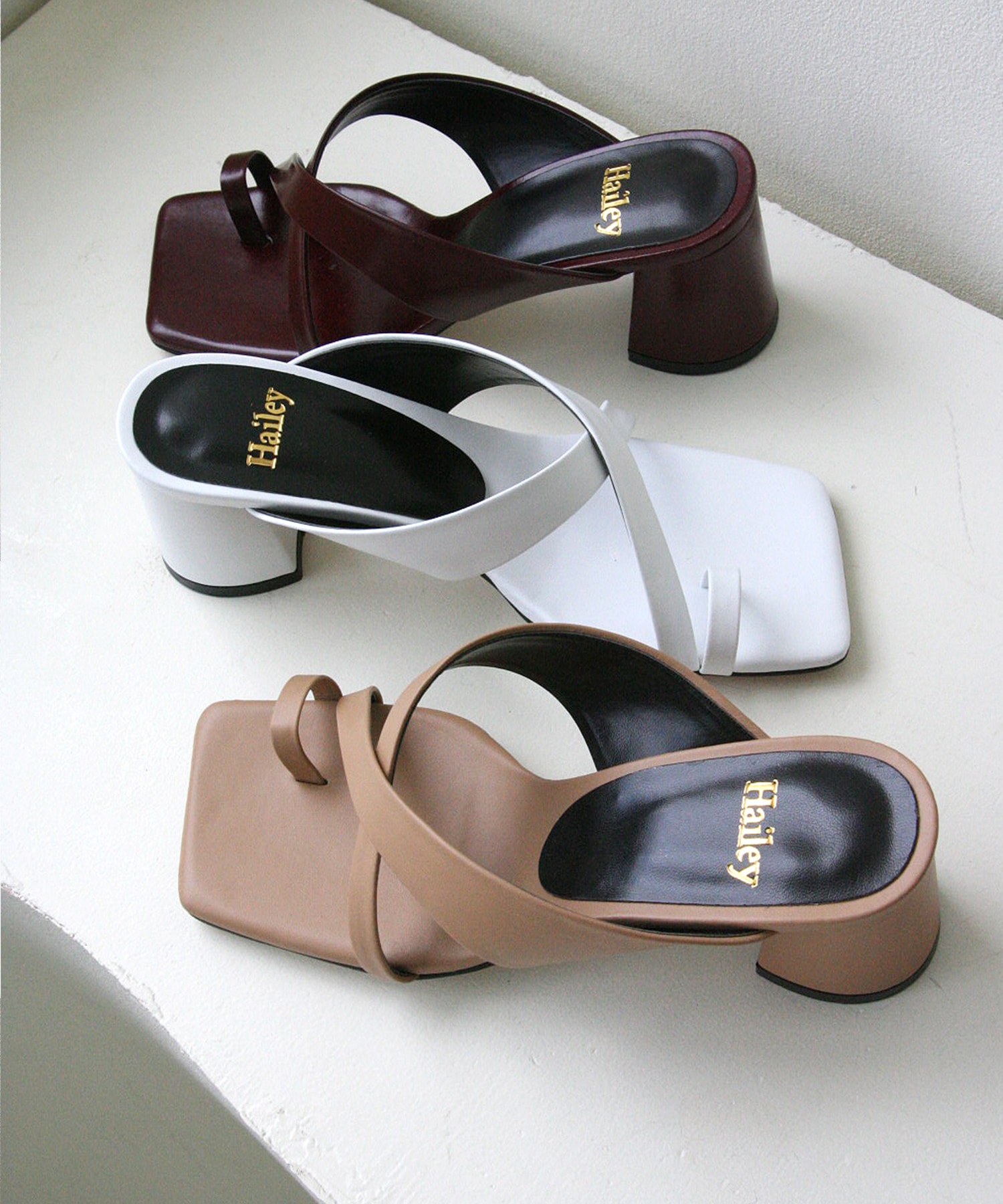 ヘイリーによる14日間の制作   HJ20018_3 カラー